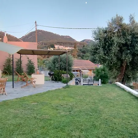 Olive Grove Near Acharavi
