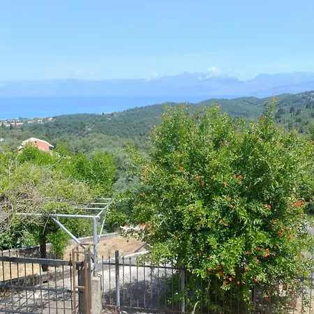 ゲストハウス Olive Grove Near Acharavi Ágios Panteleḯmon