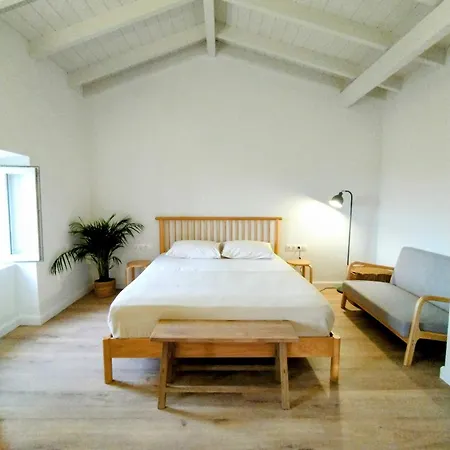 Olive Grove Boutique Guest house