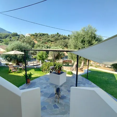 Olive Grove Boutique Guest house