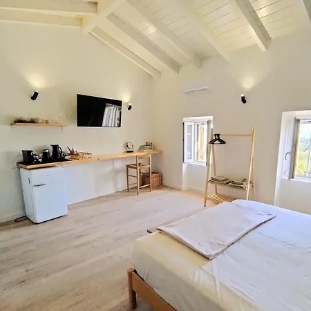 Olive Grove Boutique